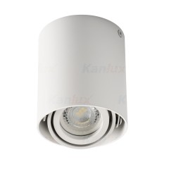 Точковий накладний світильник Kanlux TOLEO DTO50-W (26111)
