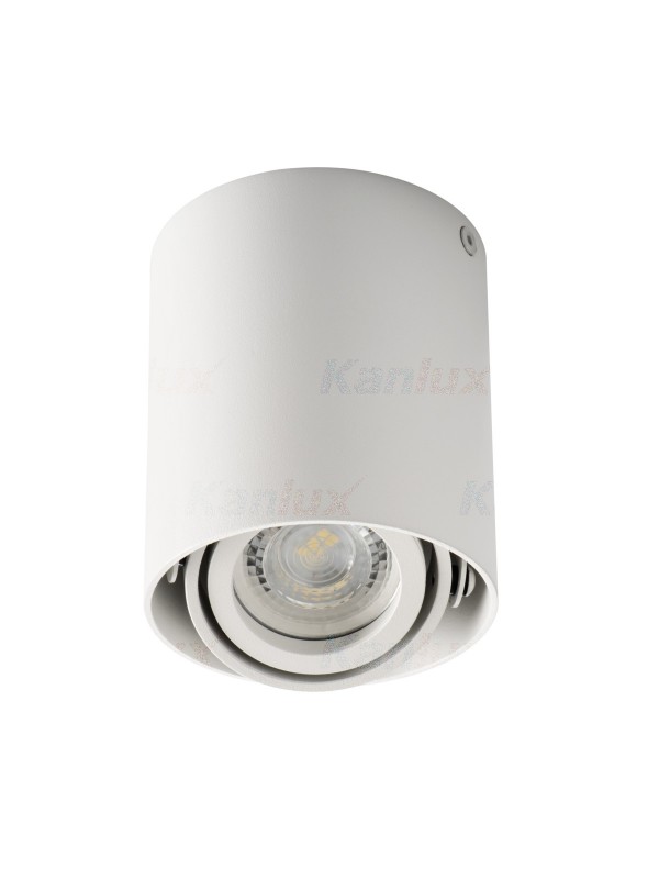 Точковий накладний світильник Kanlux TOLEO DTO50-W (26111)