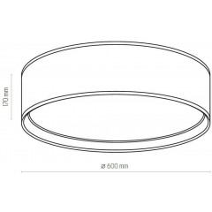 Стельовий світильник TK LIGHTING 3433