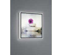 Настінний світильник Trio Zen R22140101