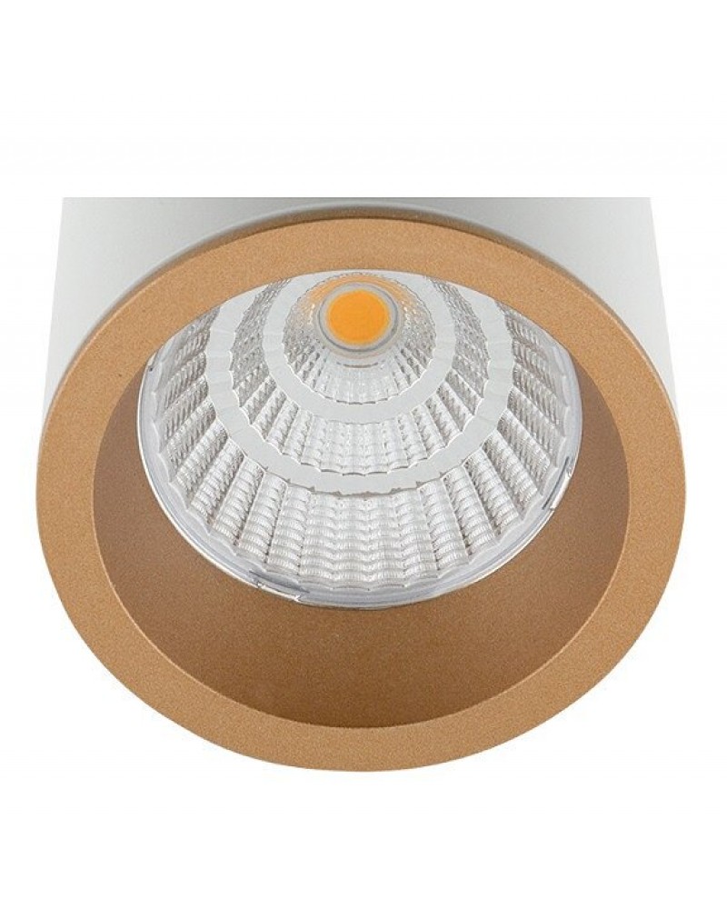 Аксесуар Maxlight RC0153/C0154 GOLD