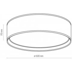 Стельовий світильник TK LIGHTING 4399