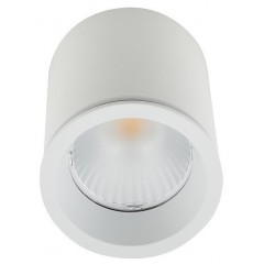 Точковий накладний світильник Maxlight C0155 TUB