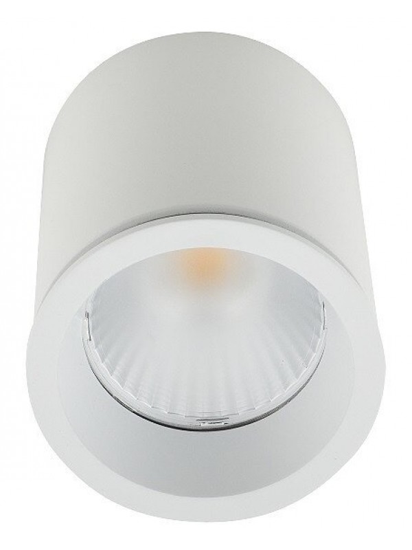 Точковий накладний світильник Maxlight C0155 TUB