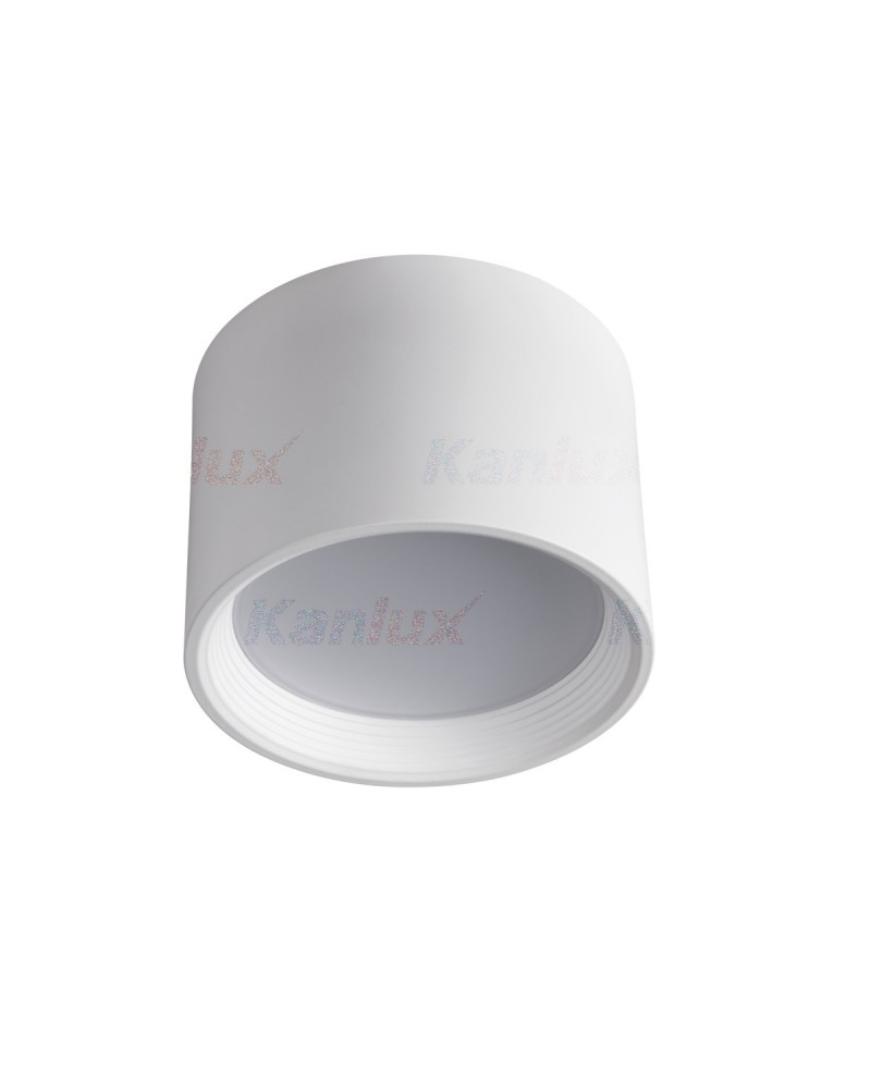 Точковий накладний світильник Kanlux OMERIS N LED 25W-NW-W (23362)