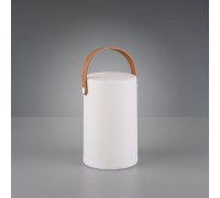 Декоративна настільна лампа Trio Aruba R57080101