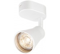 Точковий накладний світильник SLV 1000887