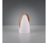 Декоративна настільна лампа Trio Haiti R57090101